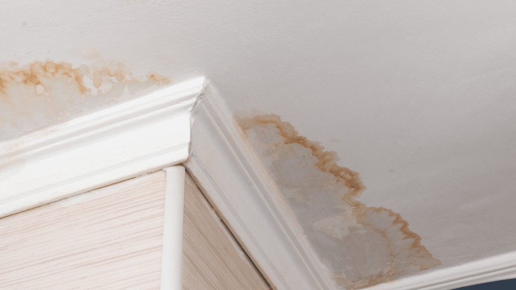 water damage interior residential ceiling