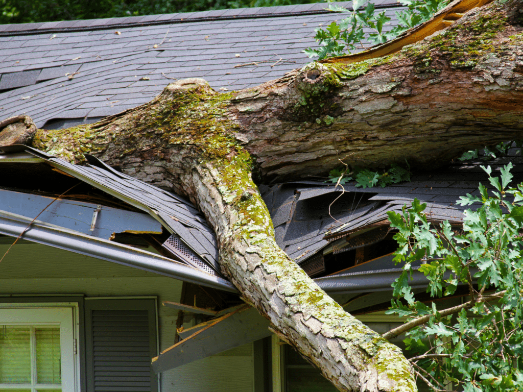 Storm Damage Response Service Asbury HI Ohio